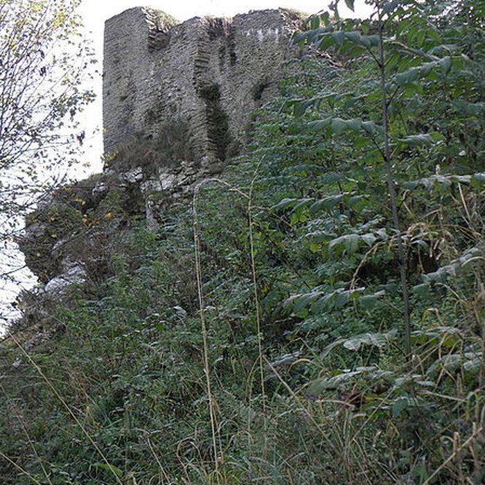 Photo de Château de La Roche-Maurice