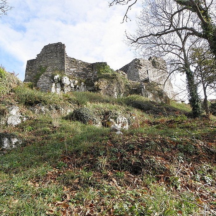 Photo de Château de La Roche-Maurice