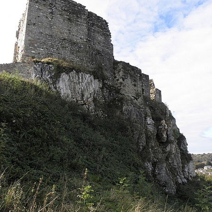 Photo de Château de La Roche-Maurice