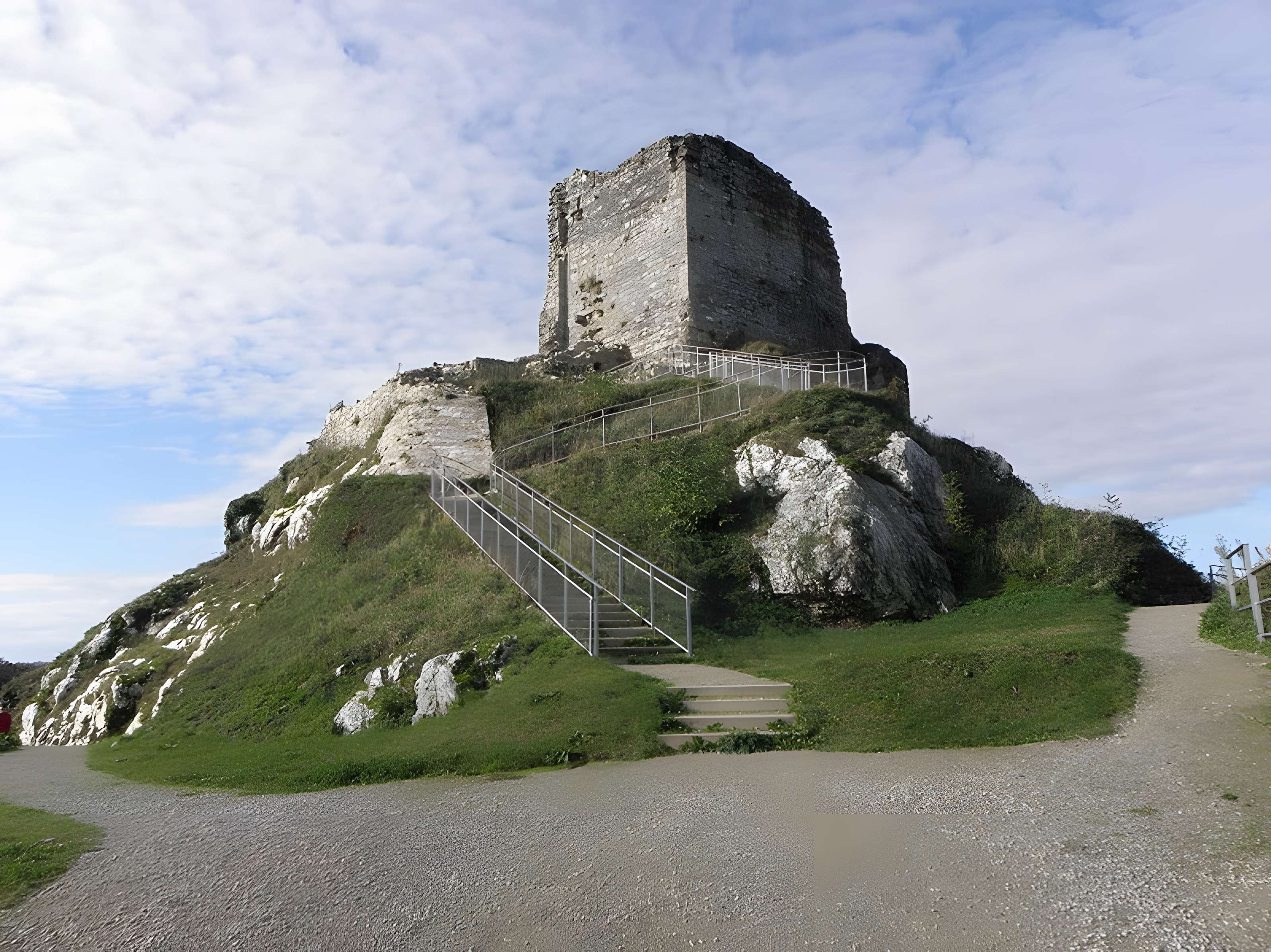 Château de La Roche-Maurice 