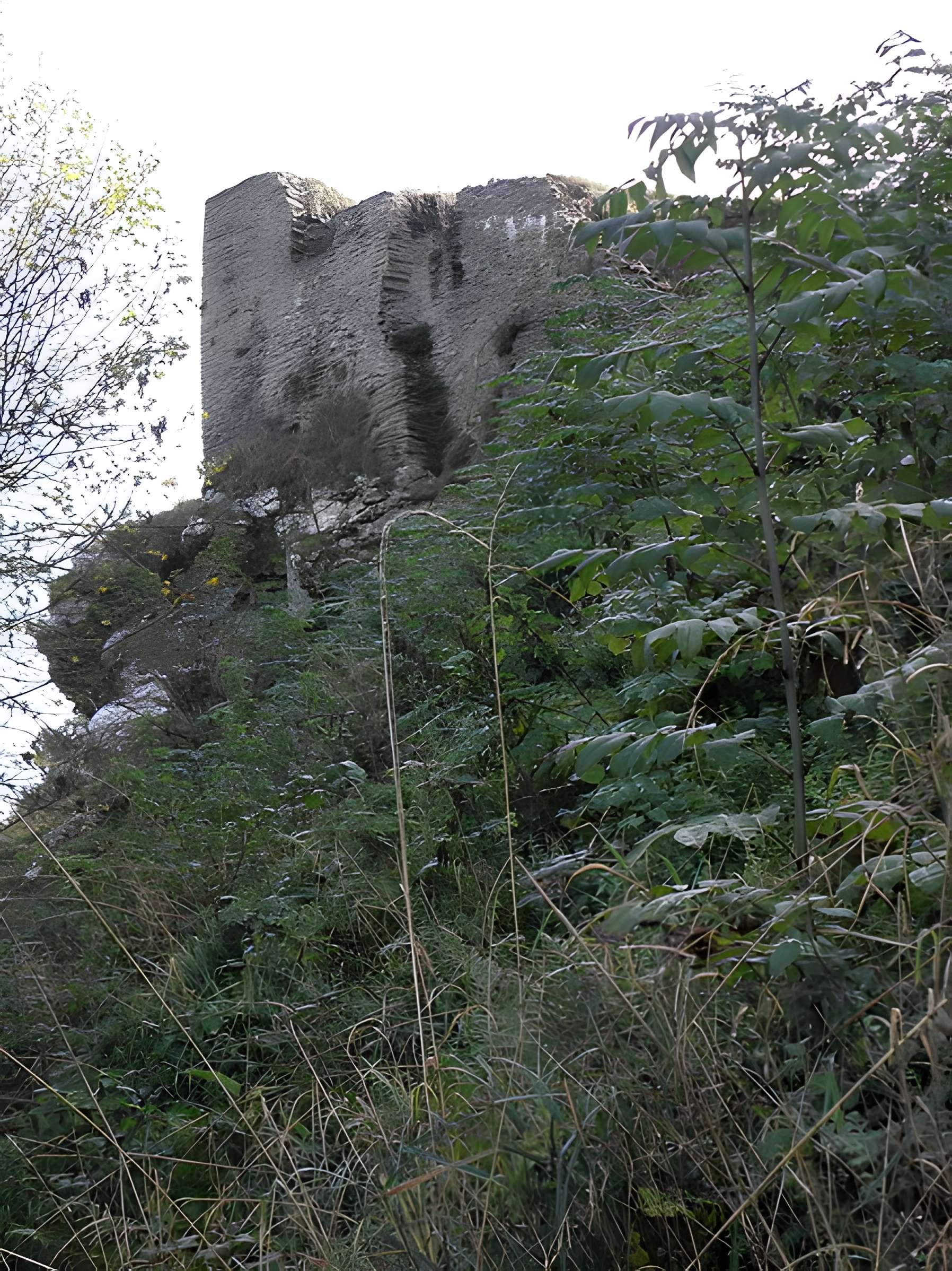 Château de La Roche-Maurice