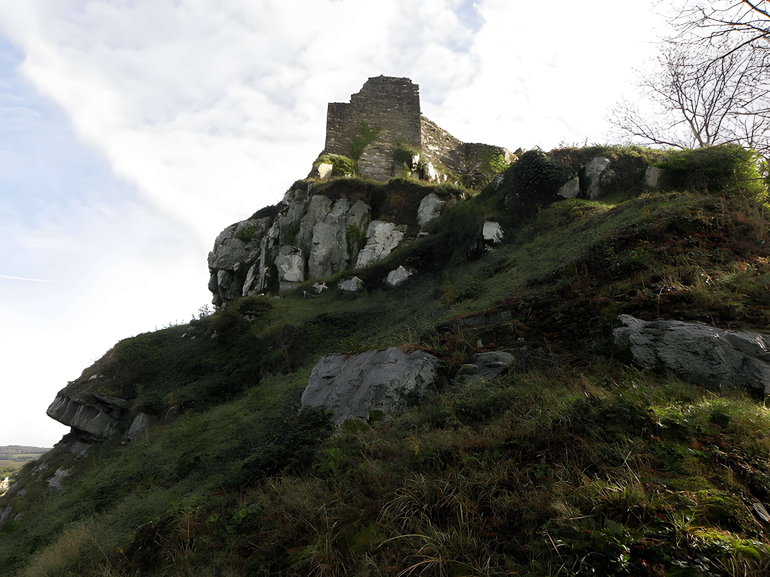 Château de La Roche-Maurice