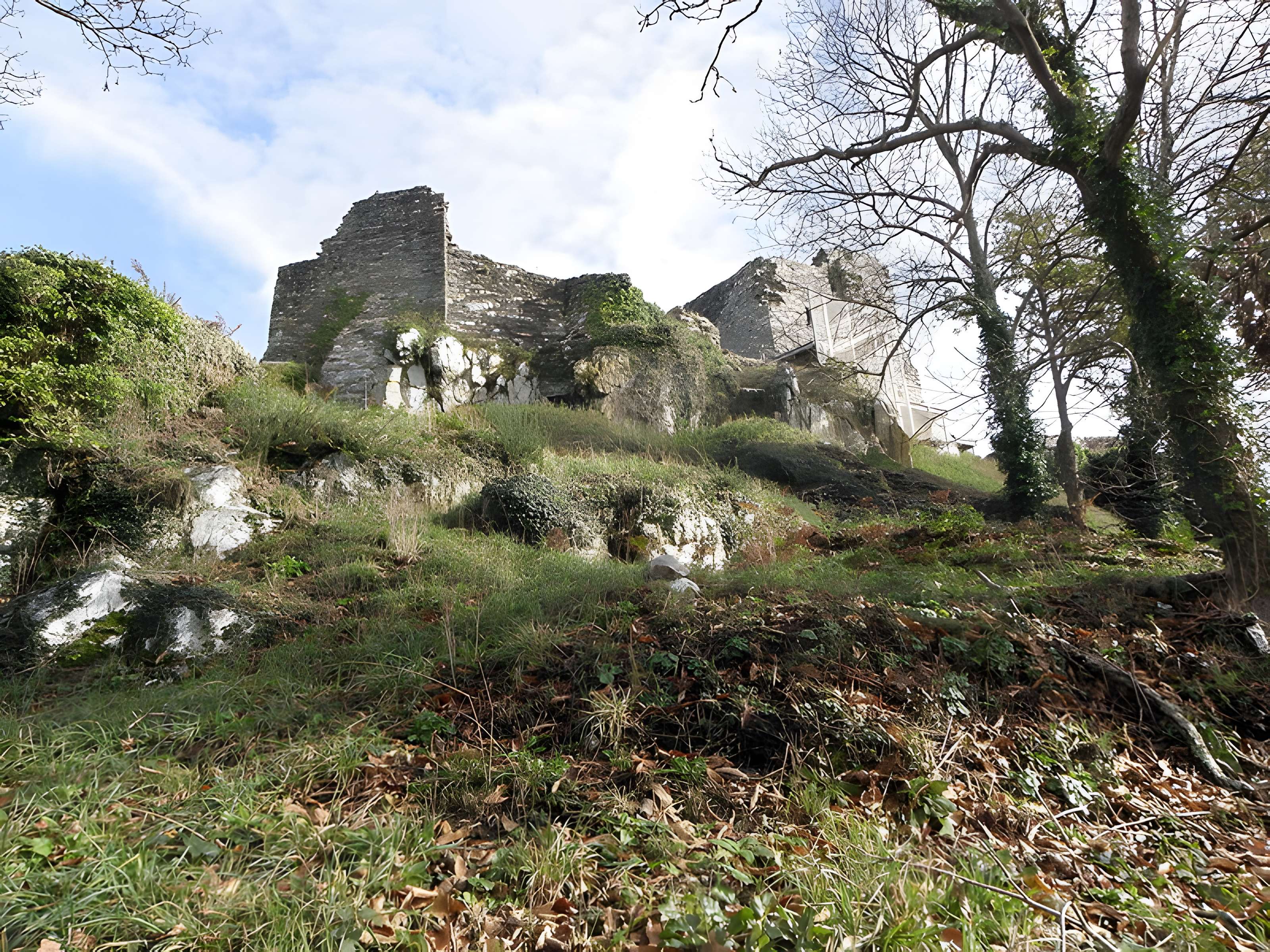 Château de La Roche-Maurice