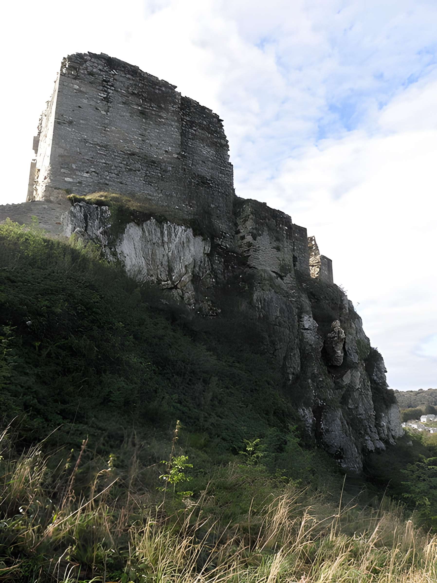 Château de La Roche-Maurice
