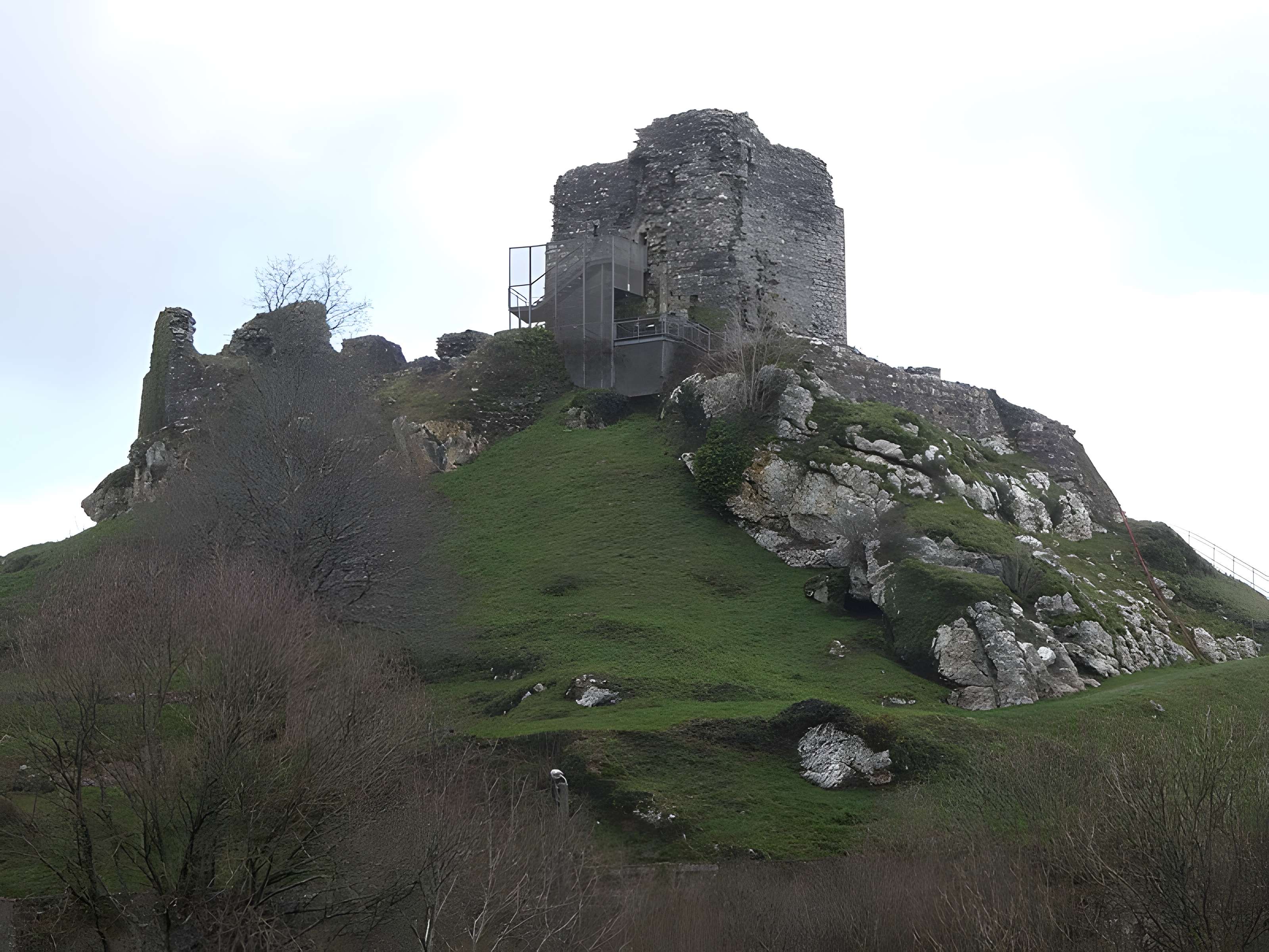 Château de La Roche-Maurice