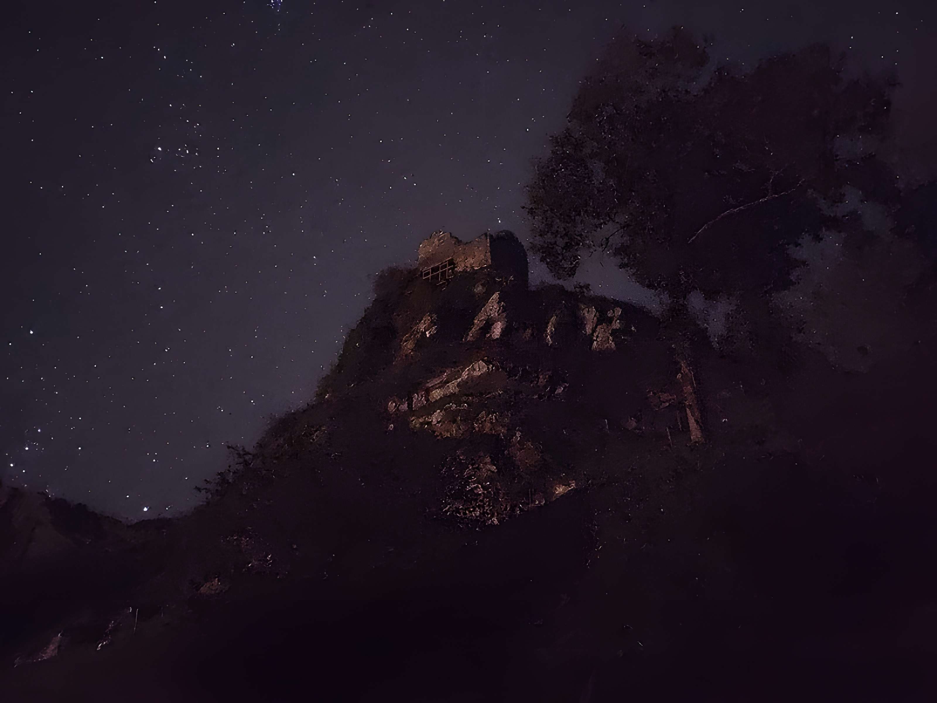 Château de La Roche-Maurice