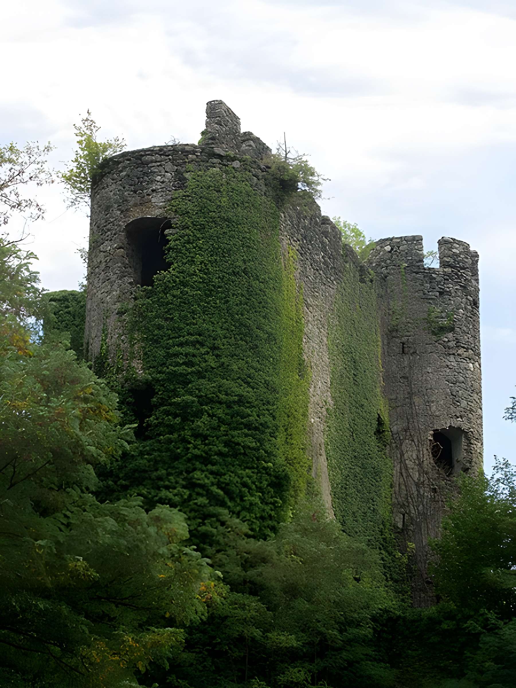 Château de la Rochette à Lully