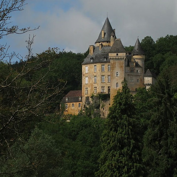 Photo de Château de la Roque à Meyrals