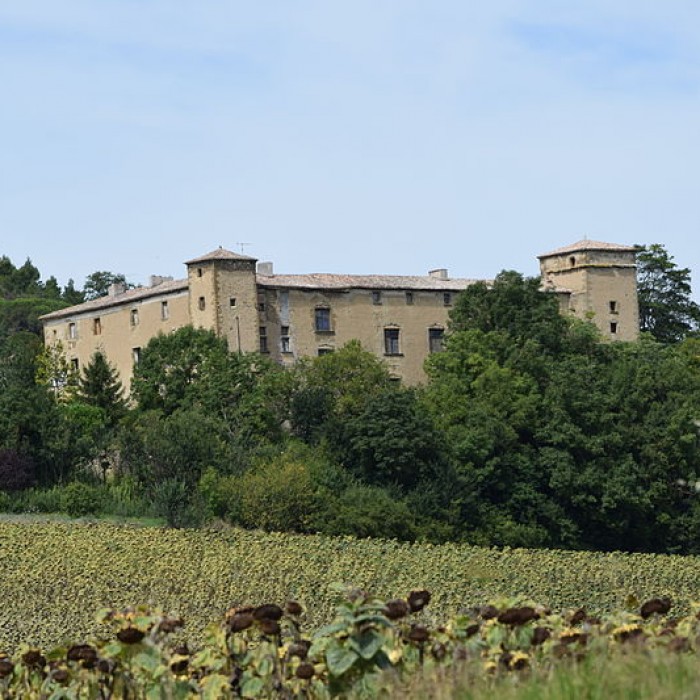 Photo de Château de La Serpent