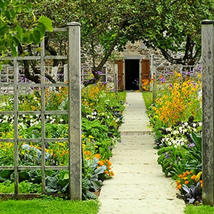 Photo de Château de la Trémolière