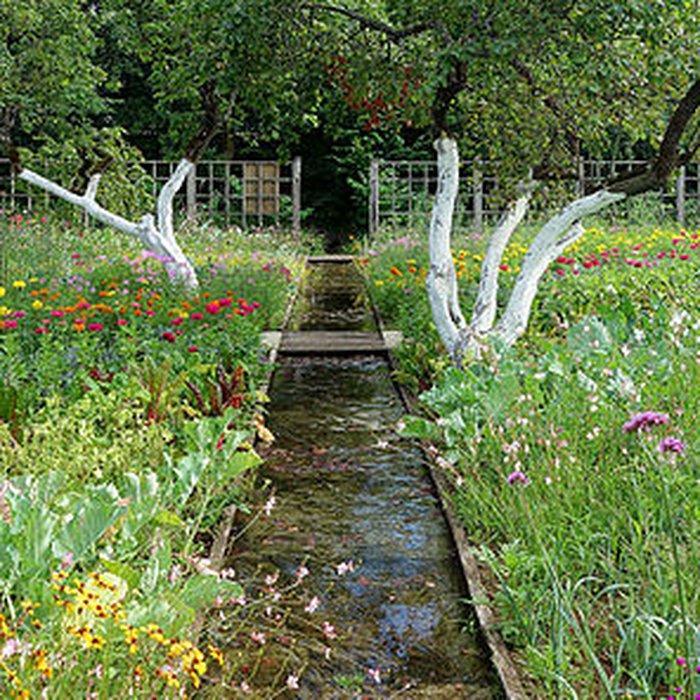 Photo de Château de la Trémolière