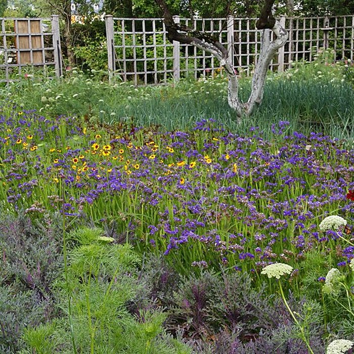 Photo de Château de la Trémolière