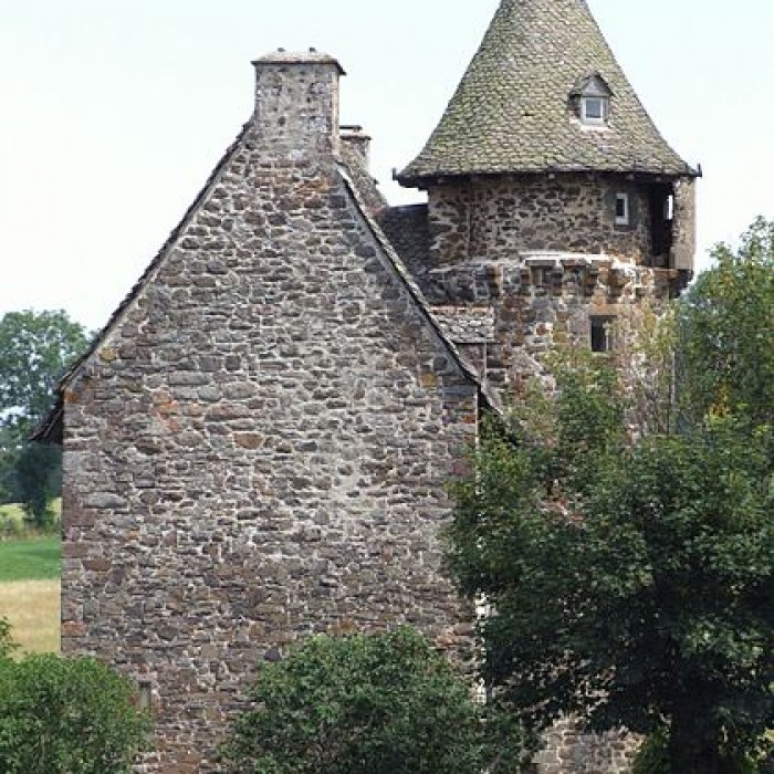 Photo de Château de la Trémolière