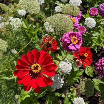 Château de la Trémolière