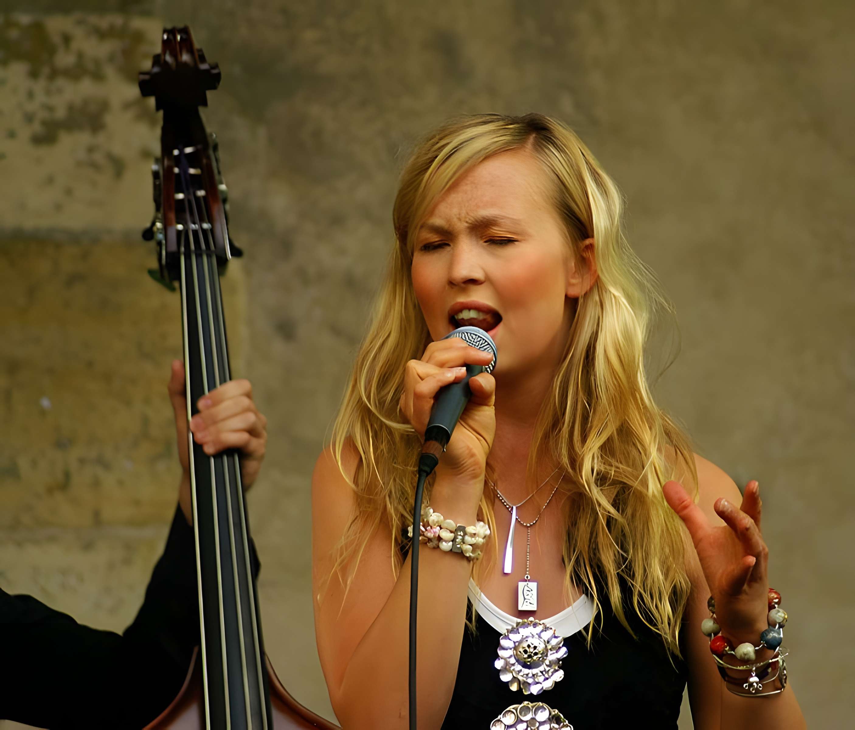 Ancien Hôtel de Marle dit aussi Hôtel de Noirmoutier