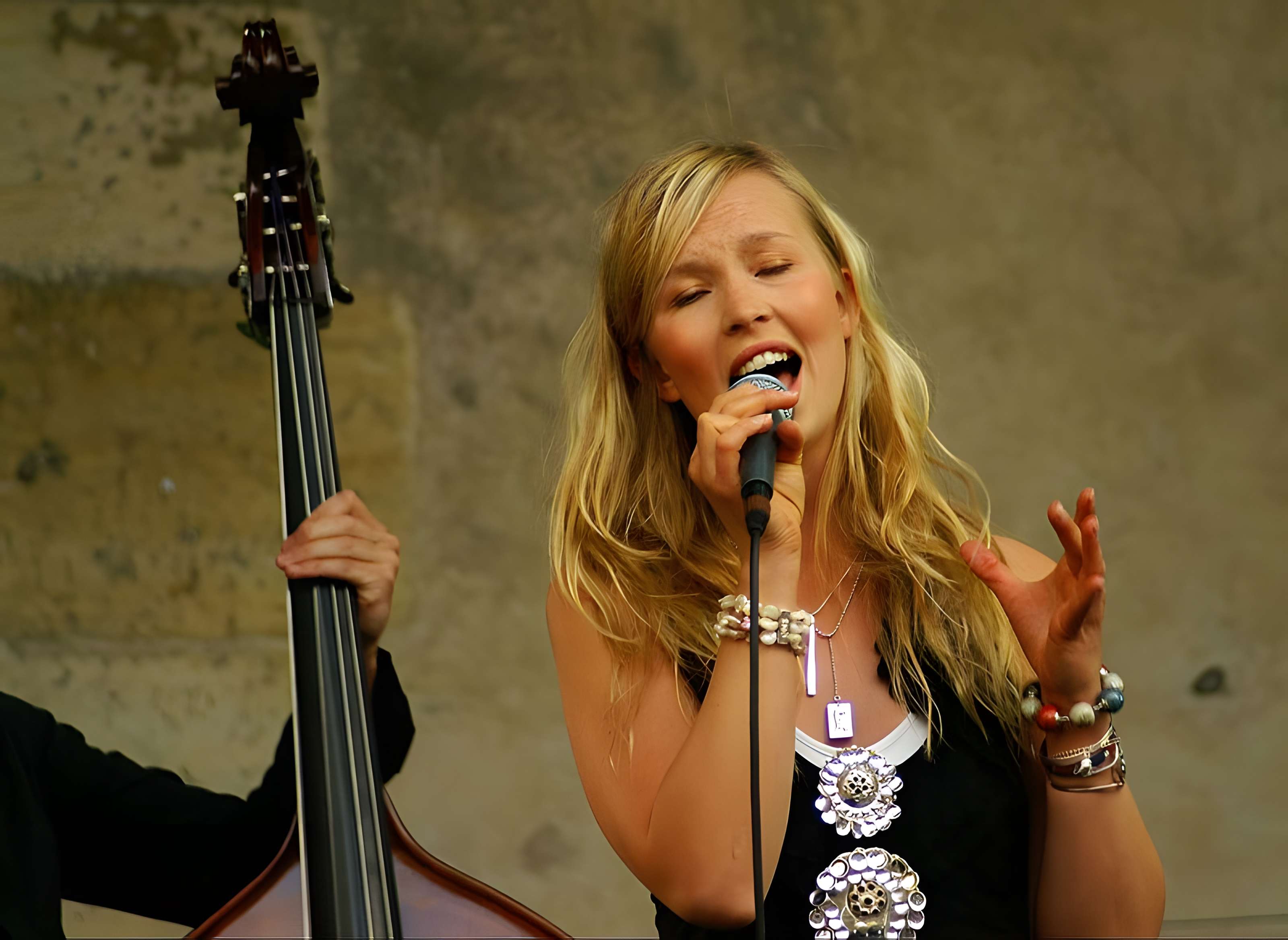 Ancien Hôtel de Marle dit aussi Hôtel de Noirmoutier