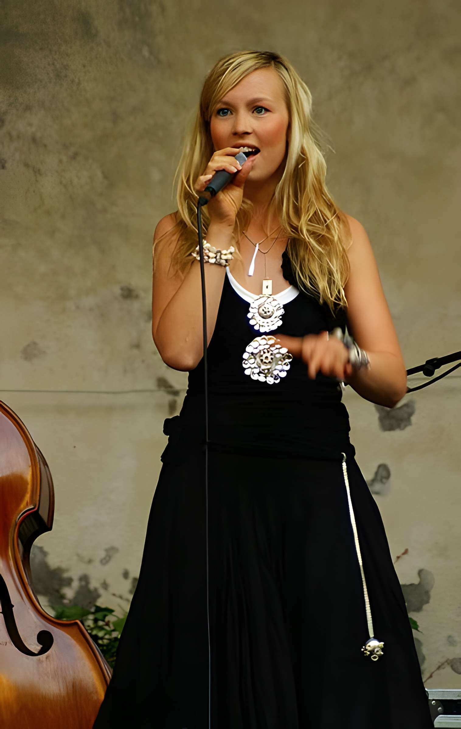 Ancien Hôtel de Marle dit aussi Hôtel de Noirmoutier