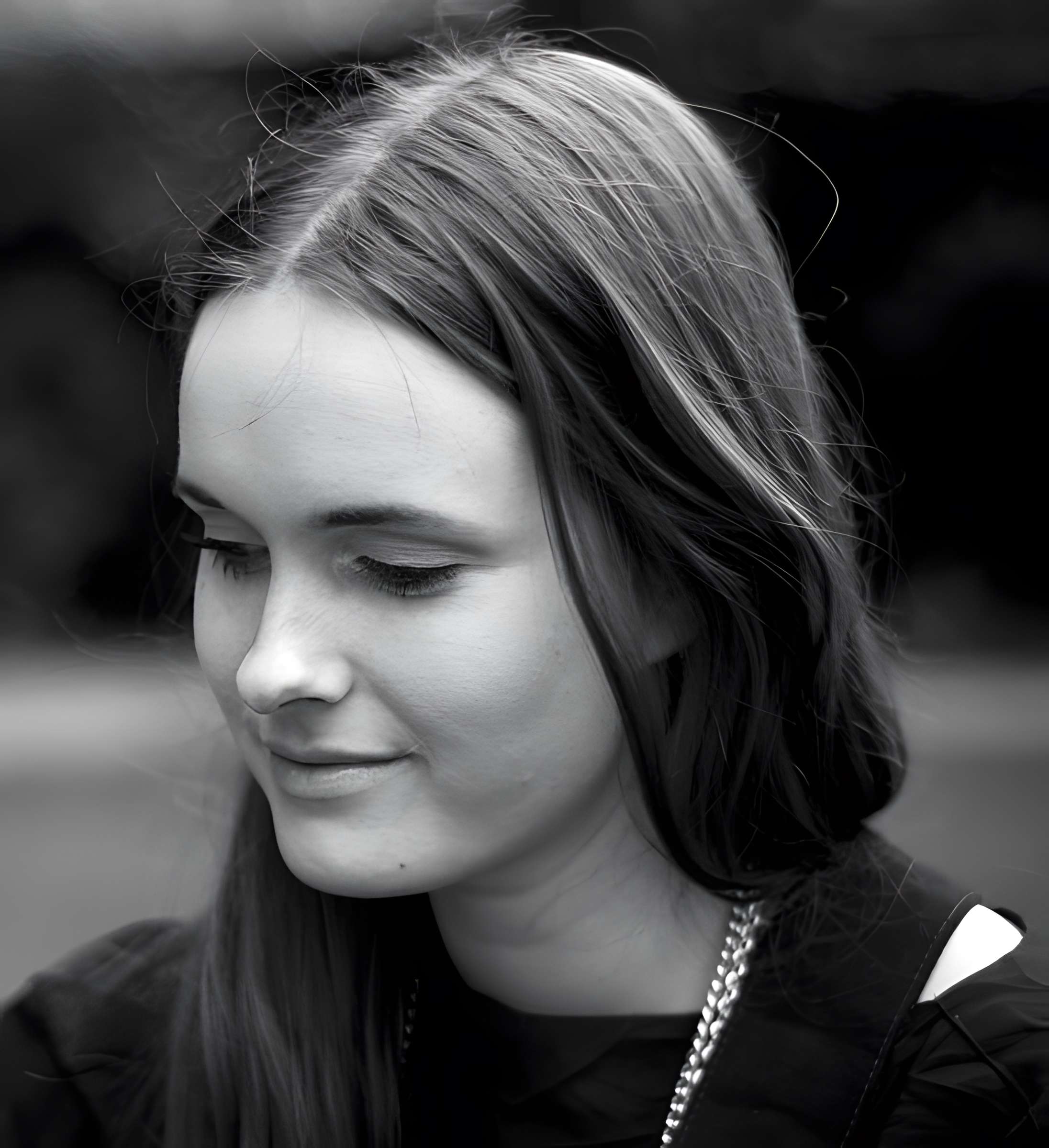 Ancien Hôtel de Marle dit aussi Hôtel de Noirmoutier