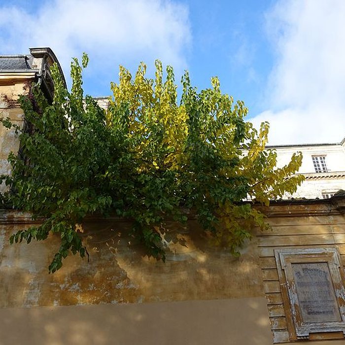 Photo de Hôtel du Lude ou de Chatillon