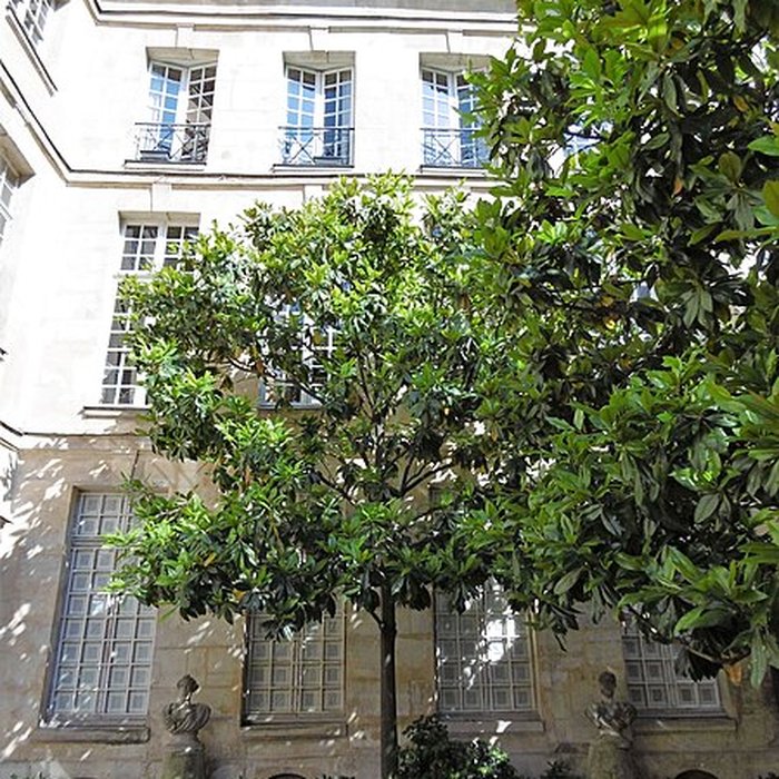 Photo de Hôtel Le Peletier de Saint-Fargeau à Paris