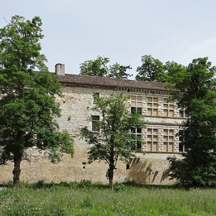 Photo de Château de Lafox