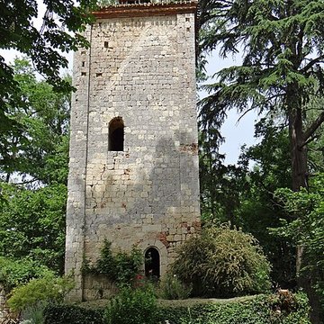 Château de Lafox