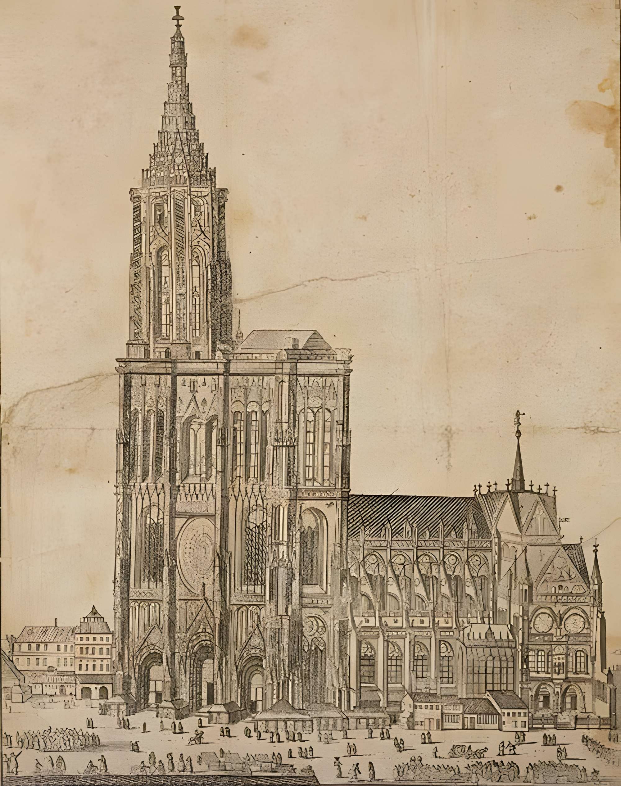 Cathédrale de Strasbourg