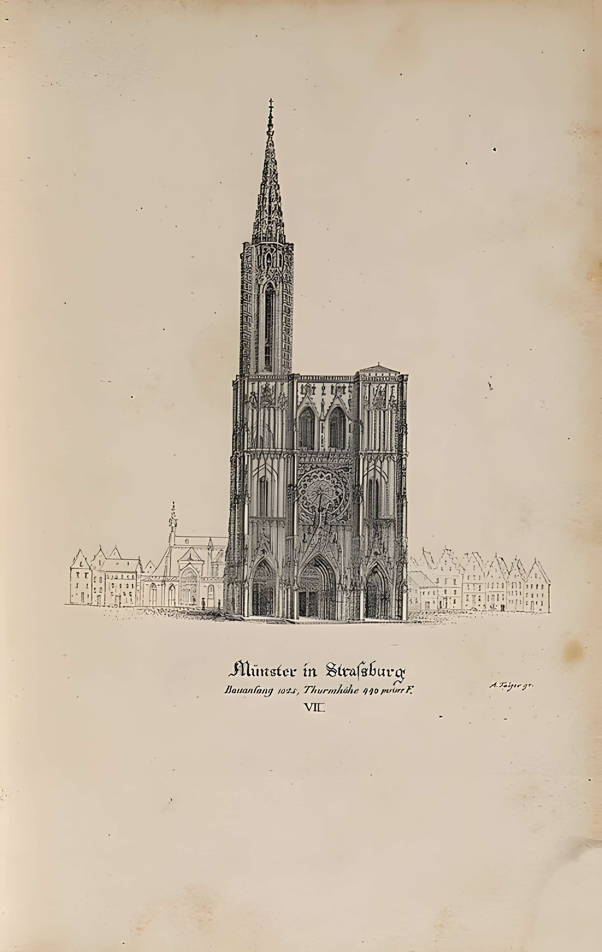 Cathédrale de Strasbourg