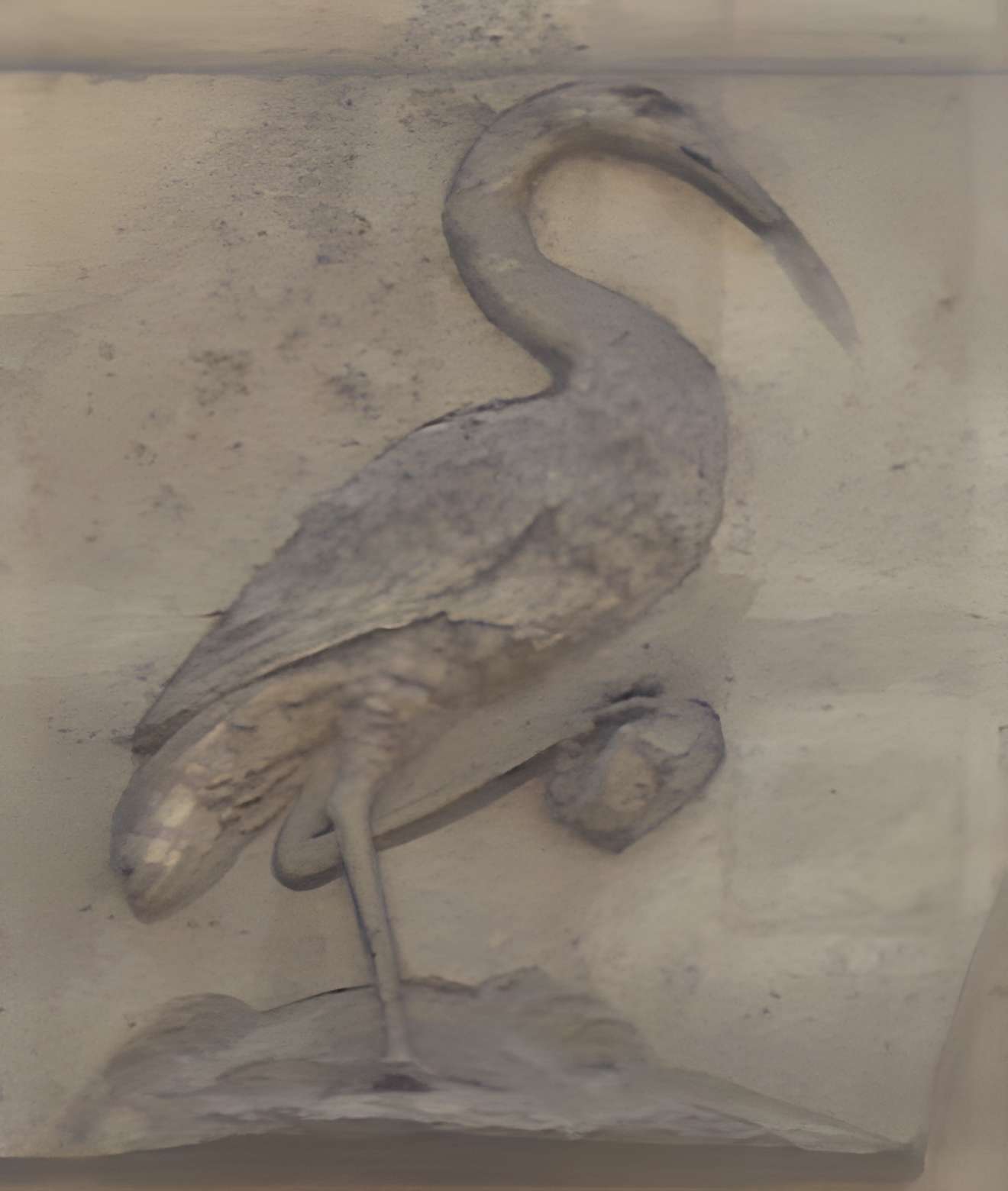 Pavillon 5 Rue Geoffroy-Saint-Hilaire - Paris 5ème