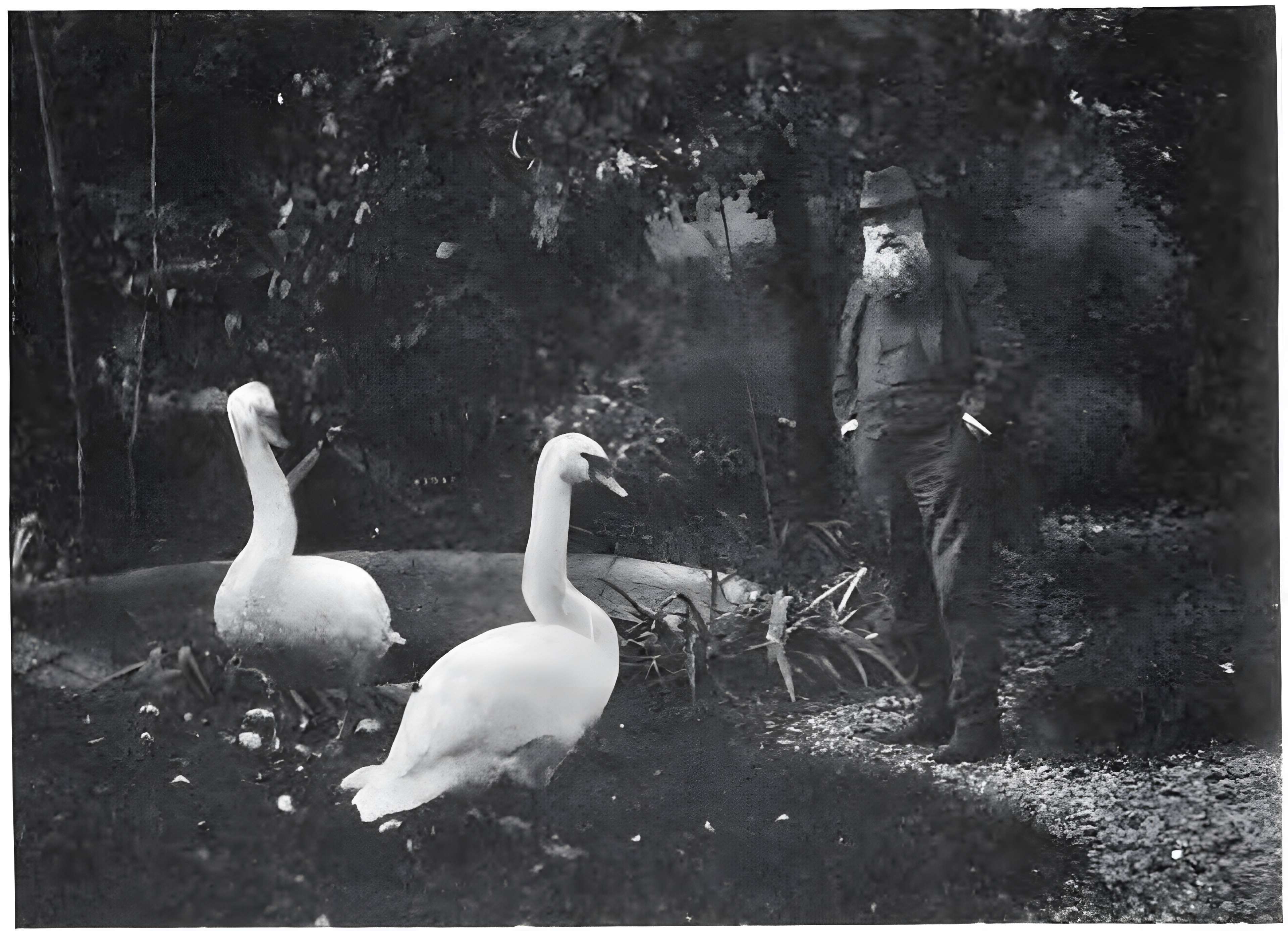 Hôtel de Biron (Musée Rodin)