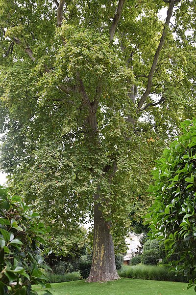 Hôtel de Courteilles - Paris 7ème