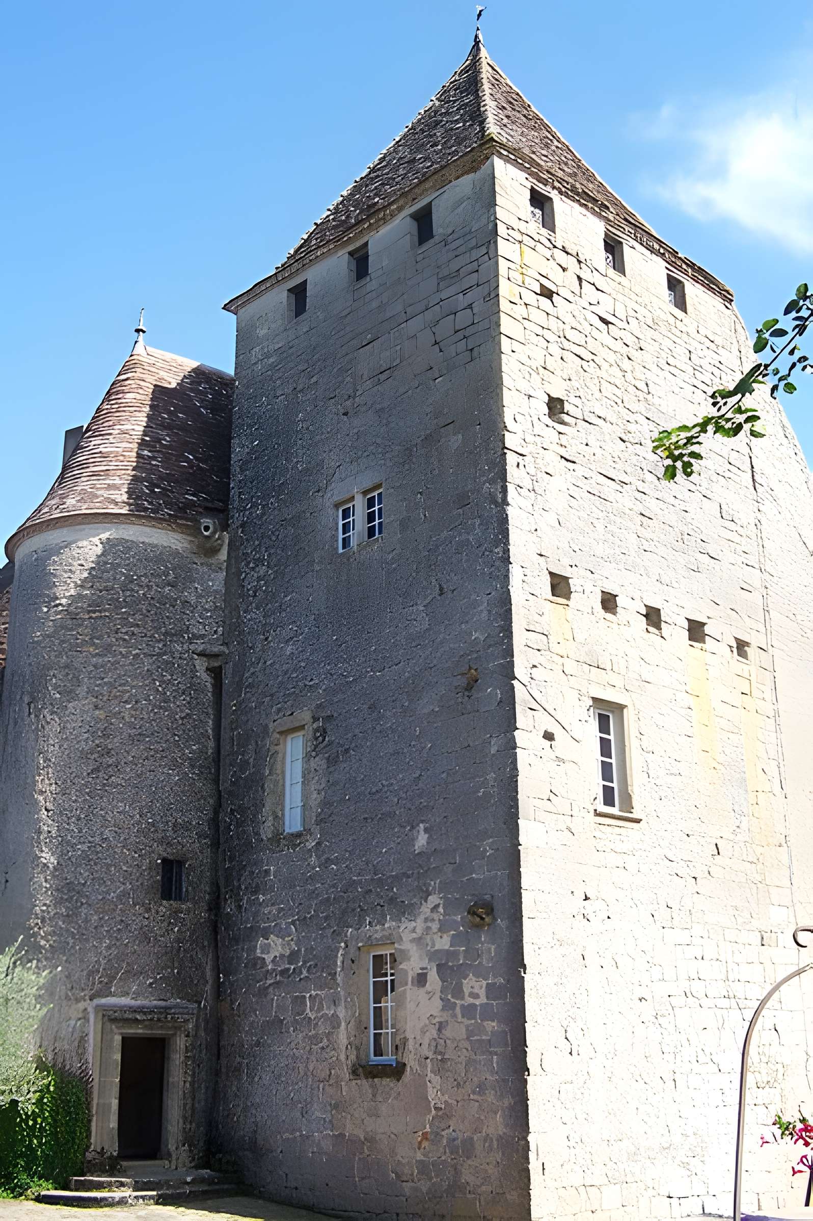 Château de Lavison