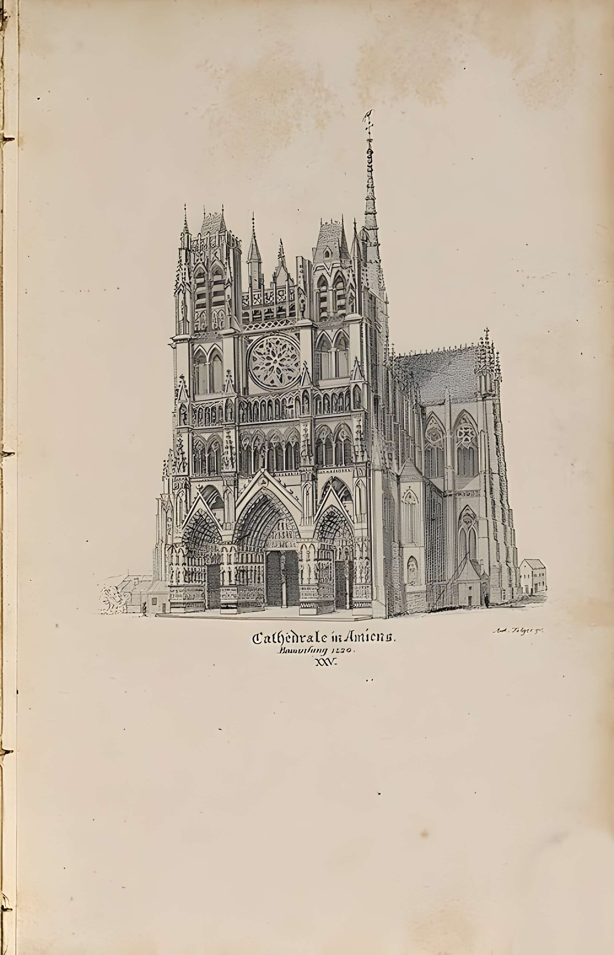 Cathédrale Notre-Dame d'Amiens