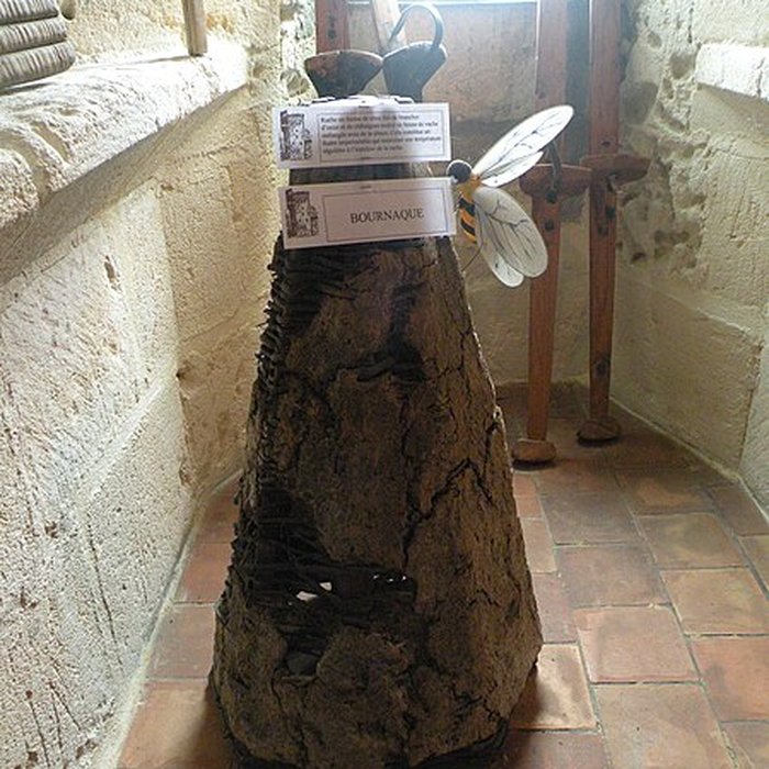 Photo de Ancien château féodal