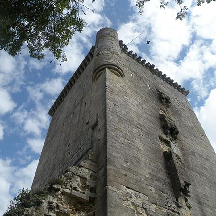 Photo de Ancien château féodal