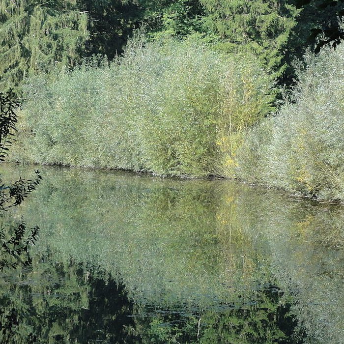 Photo de Château de lHermitage