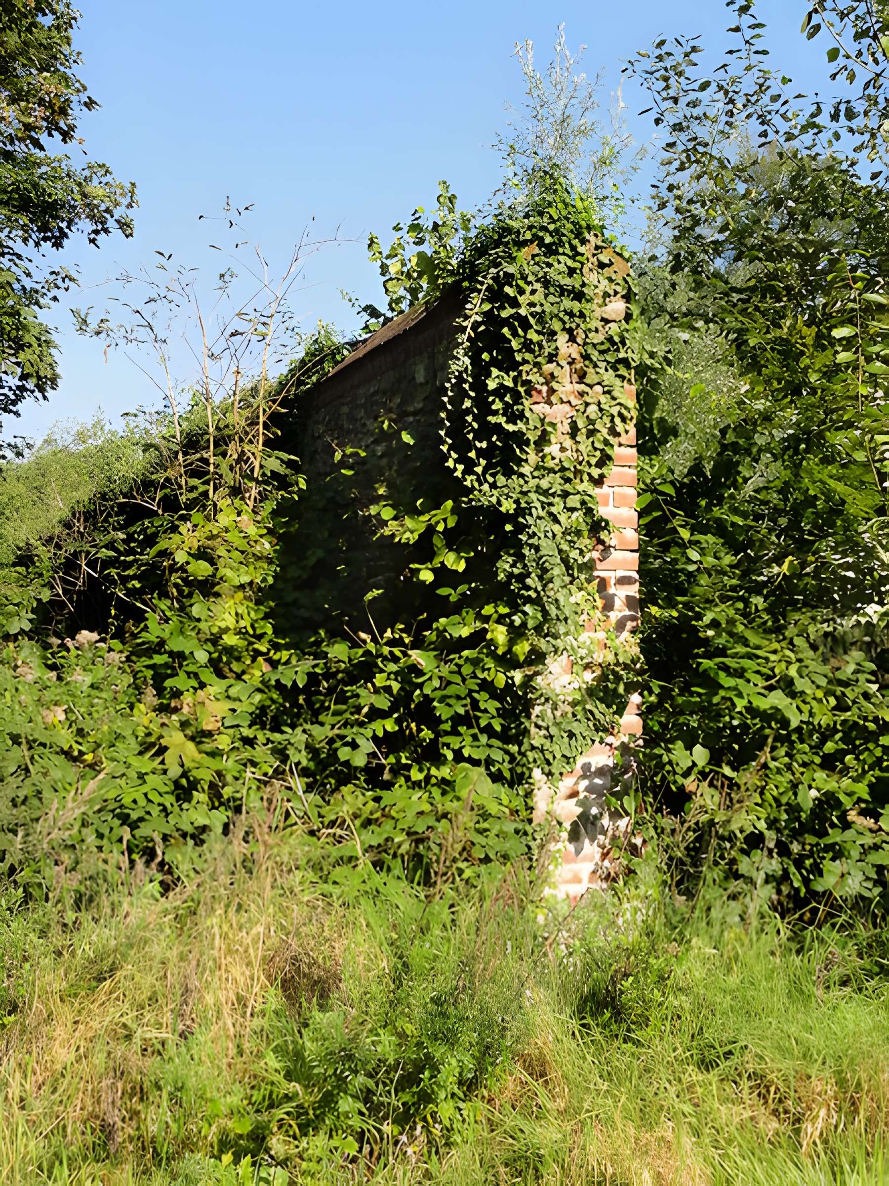 Château de l'Hermitage