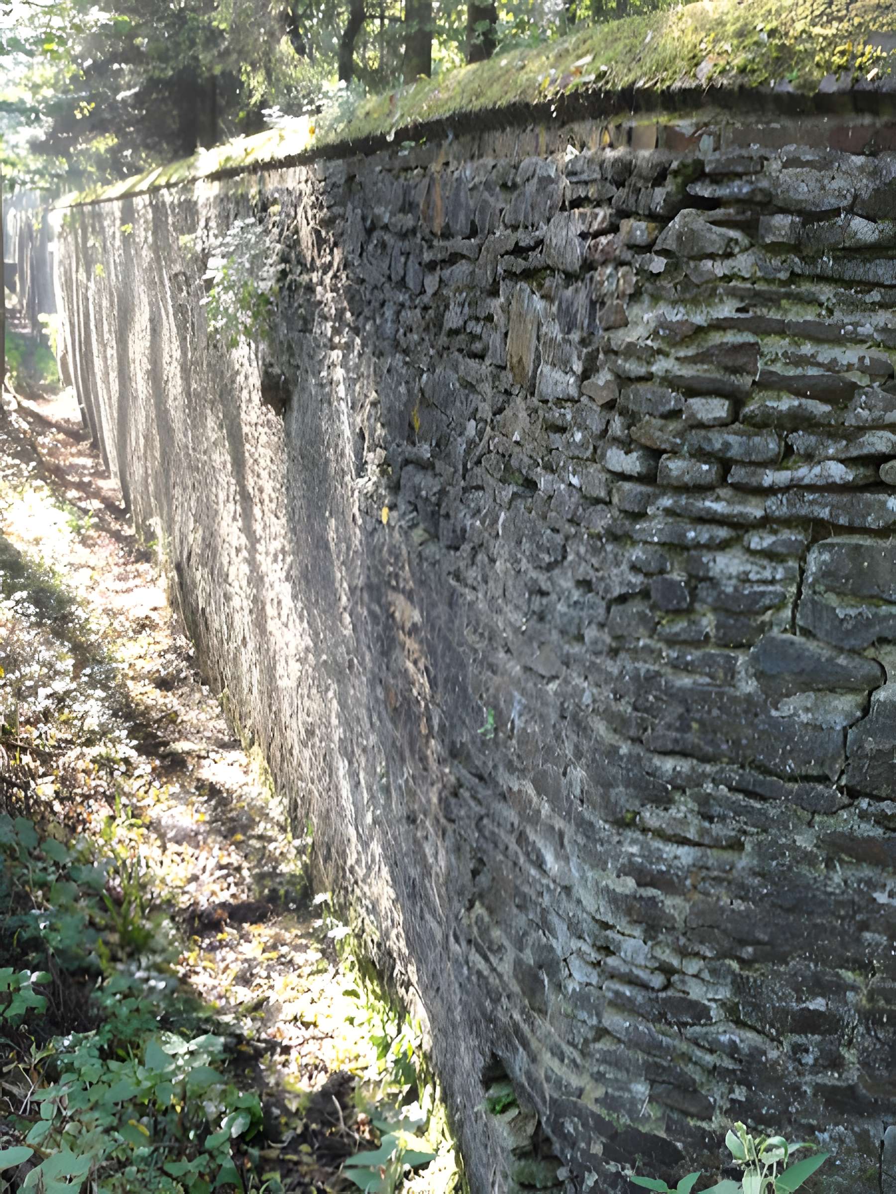 Château de l'Hermitage