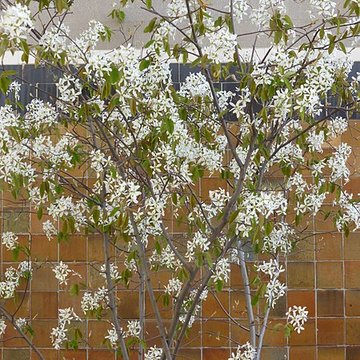 Immeuble «Studio Building» - Paris 16ème