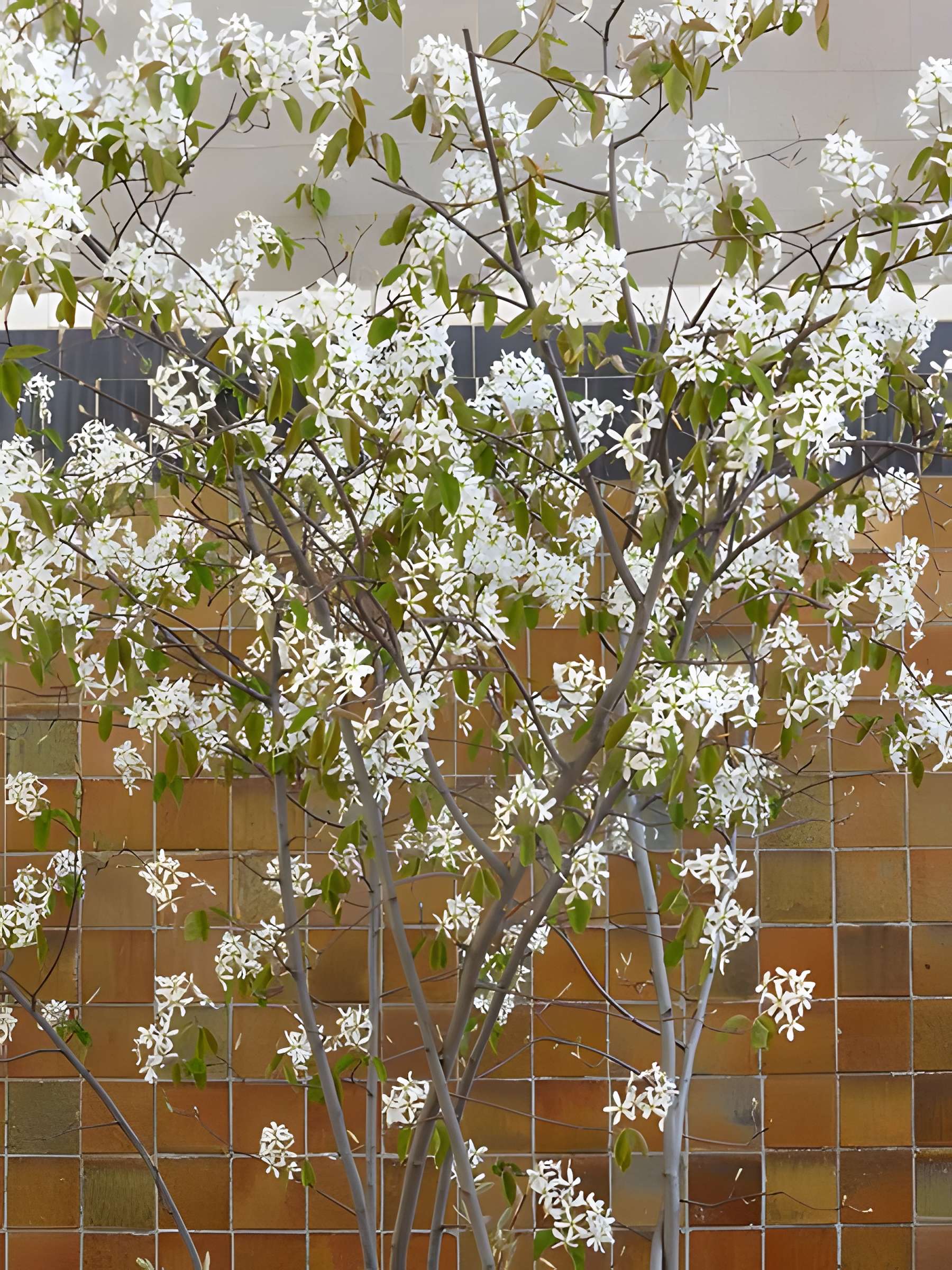 Immeuble «Studio Building» - Paris 16ème