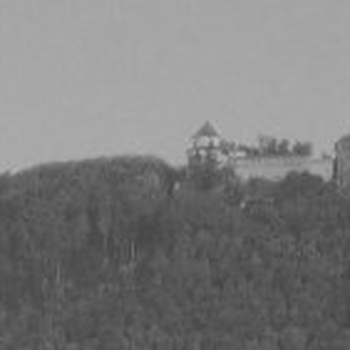 Photo de Château de loedenbourg