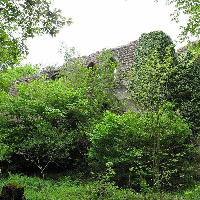 Photo de Château de loedenbourg