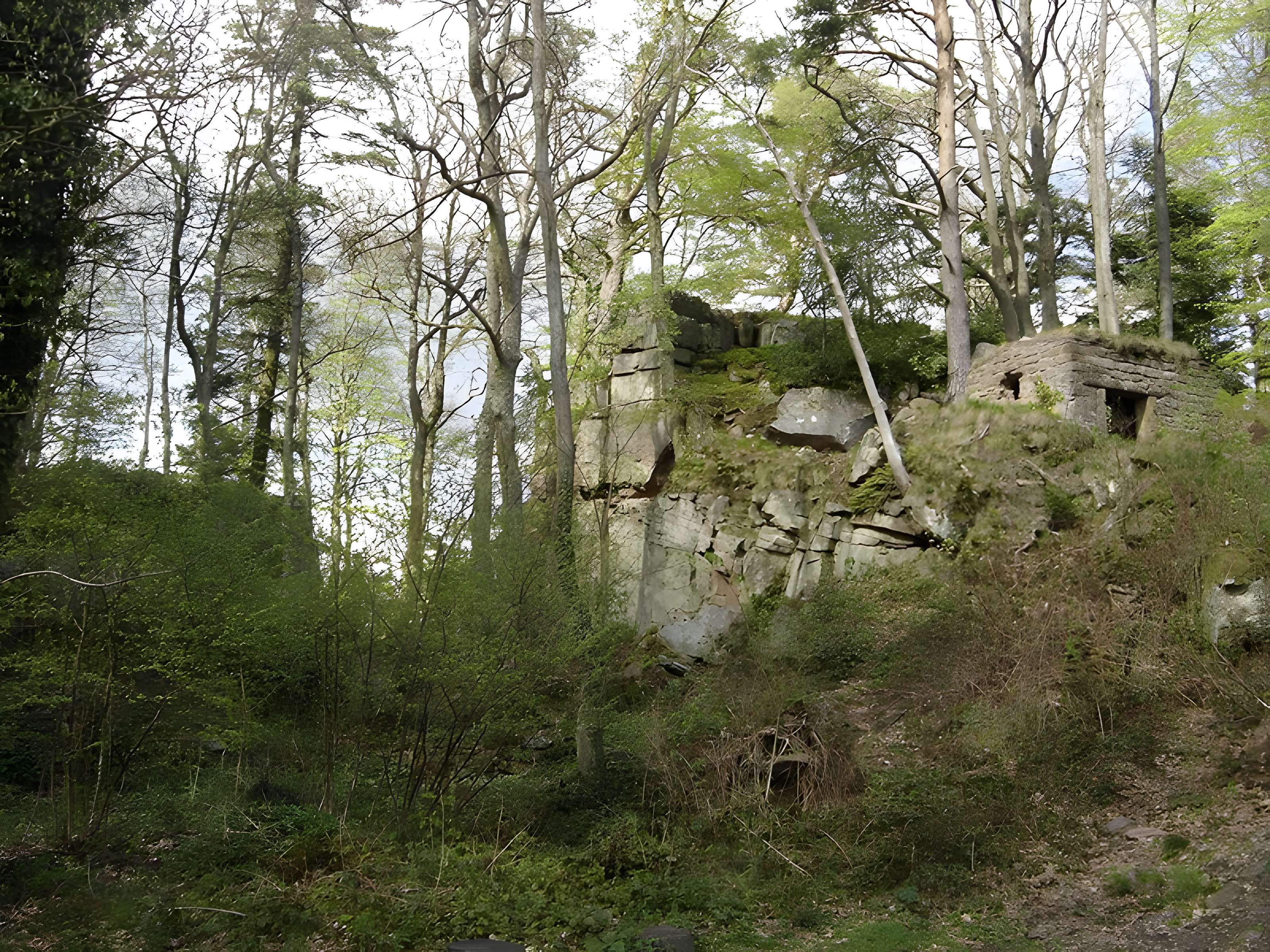 Château de l'oedenbourg