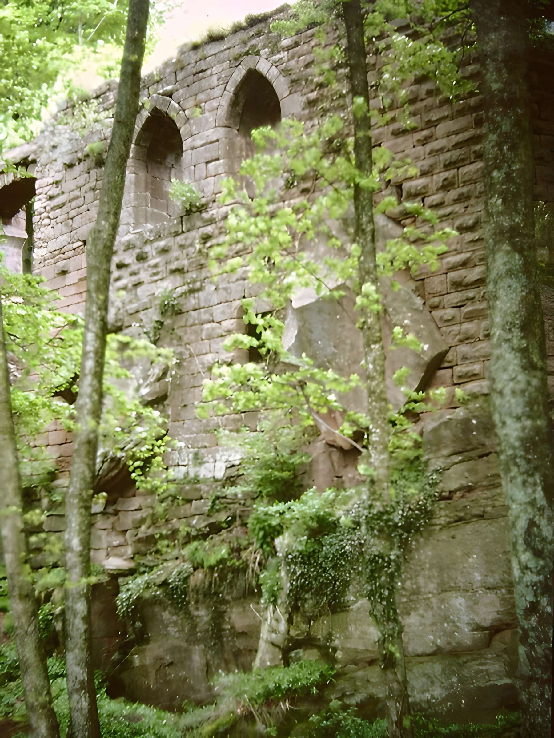 Château de l'oedenbourg