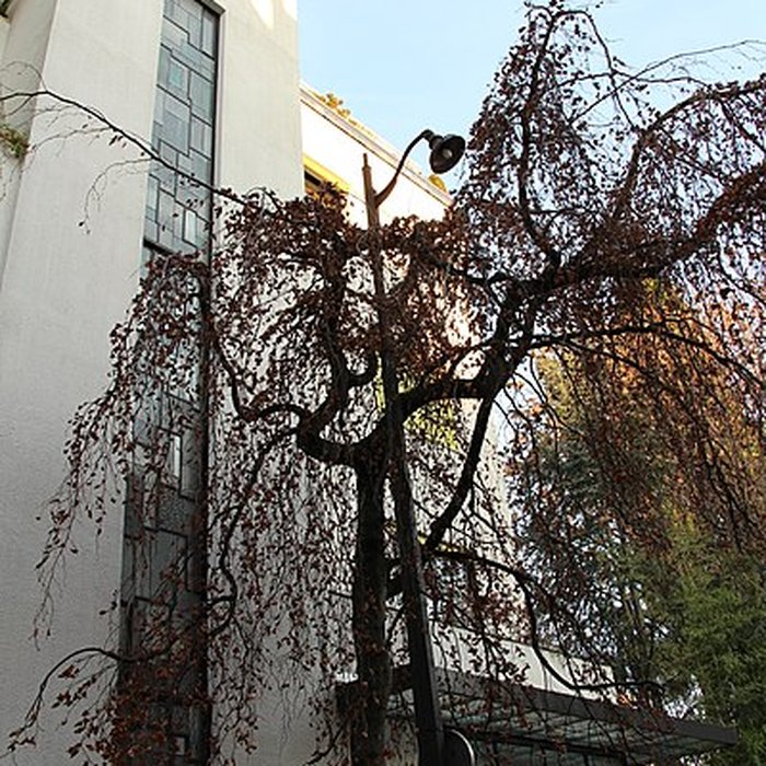 Photo de Immeubles N 1-12 Rue Mallet-Stevens à Paris