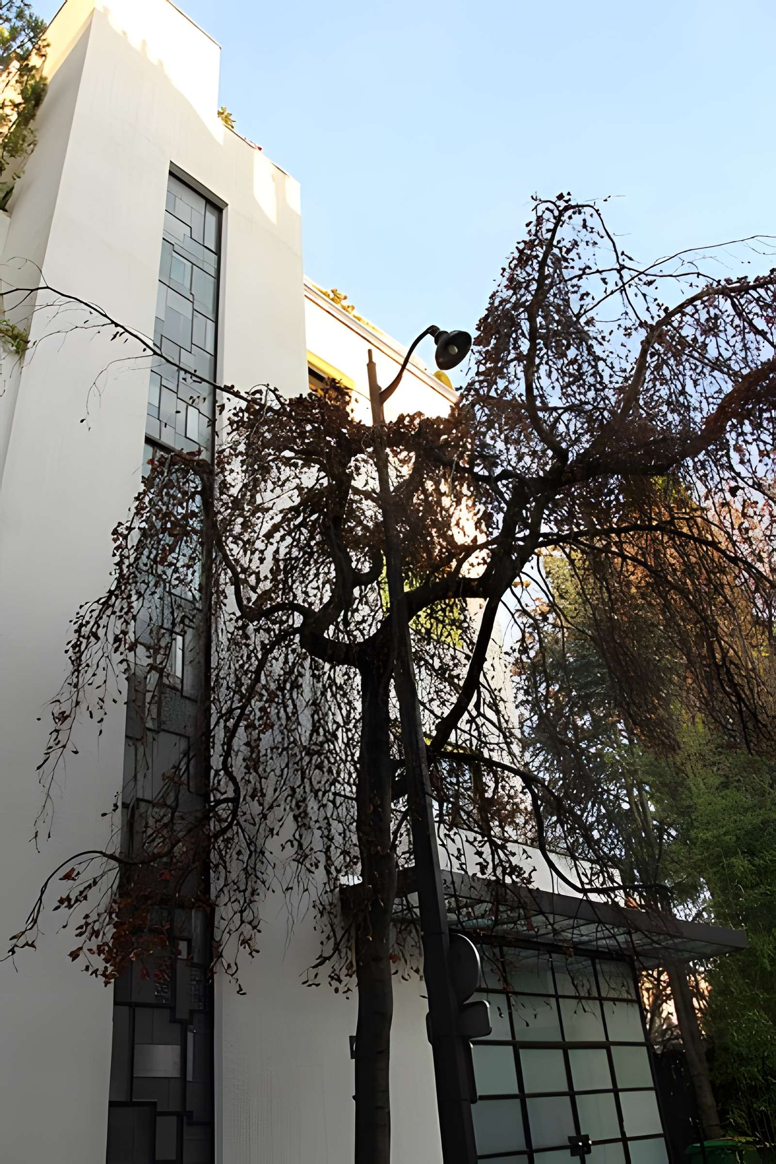 Immeubles N° 1-12 Rue Mallet-Stevens à Paris