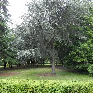 Cimetière de Picpus et ancien couvent des chanoinesses de Picpus