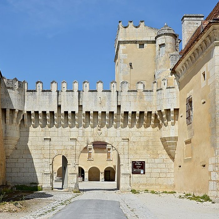 Photo de Château de lOisellerie