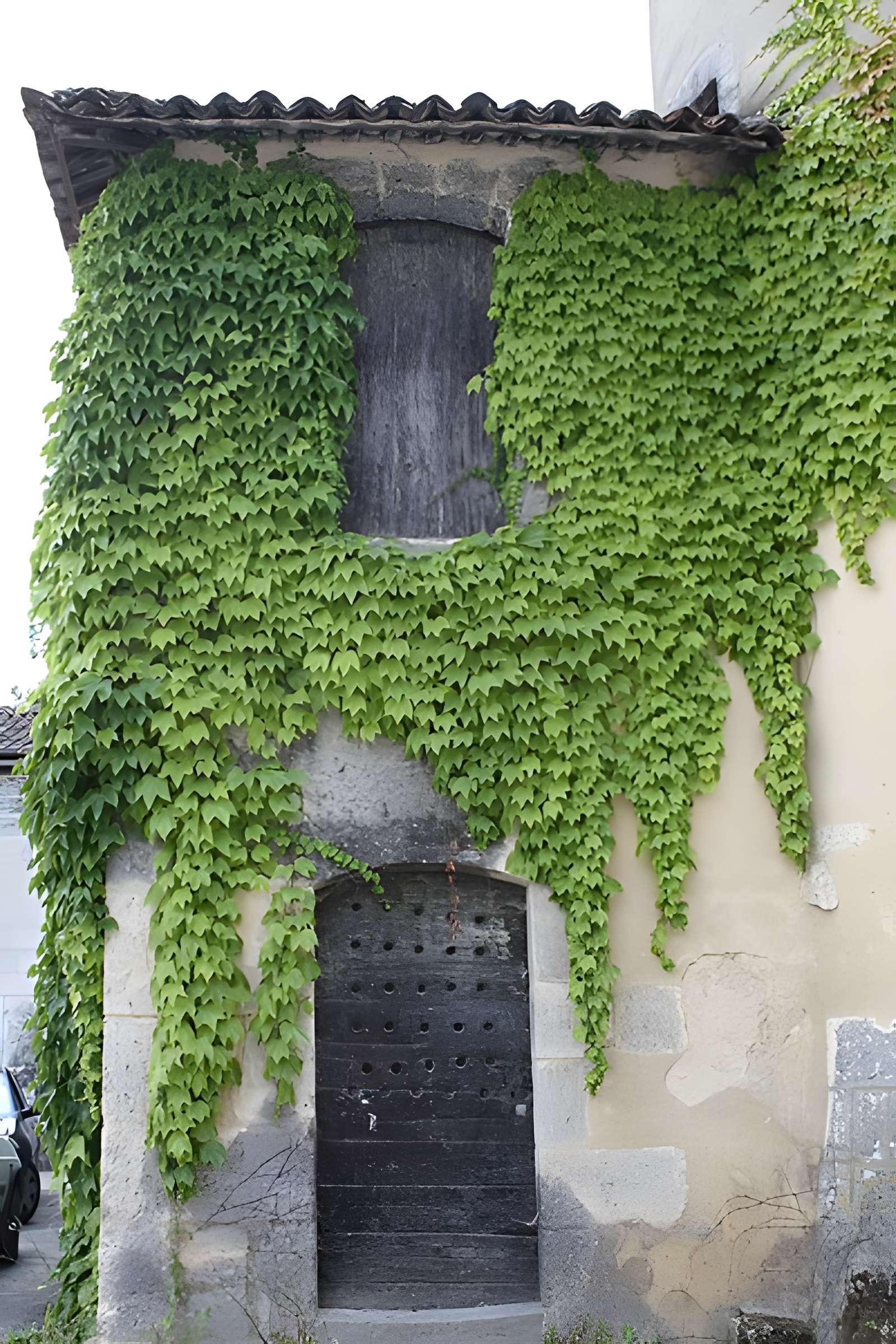 Château de l'Oisellerie