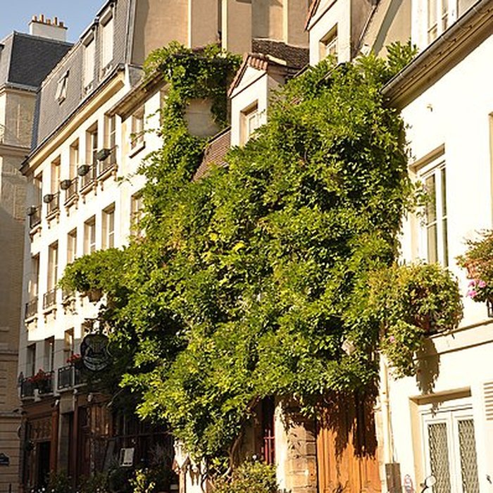Photo de Débit de boisson, Rue Chanoinesse - Paris 4ème